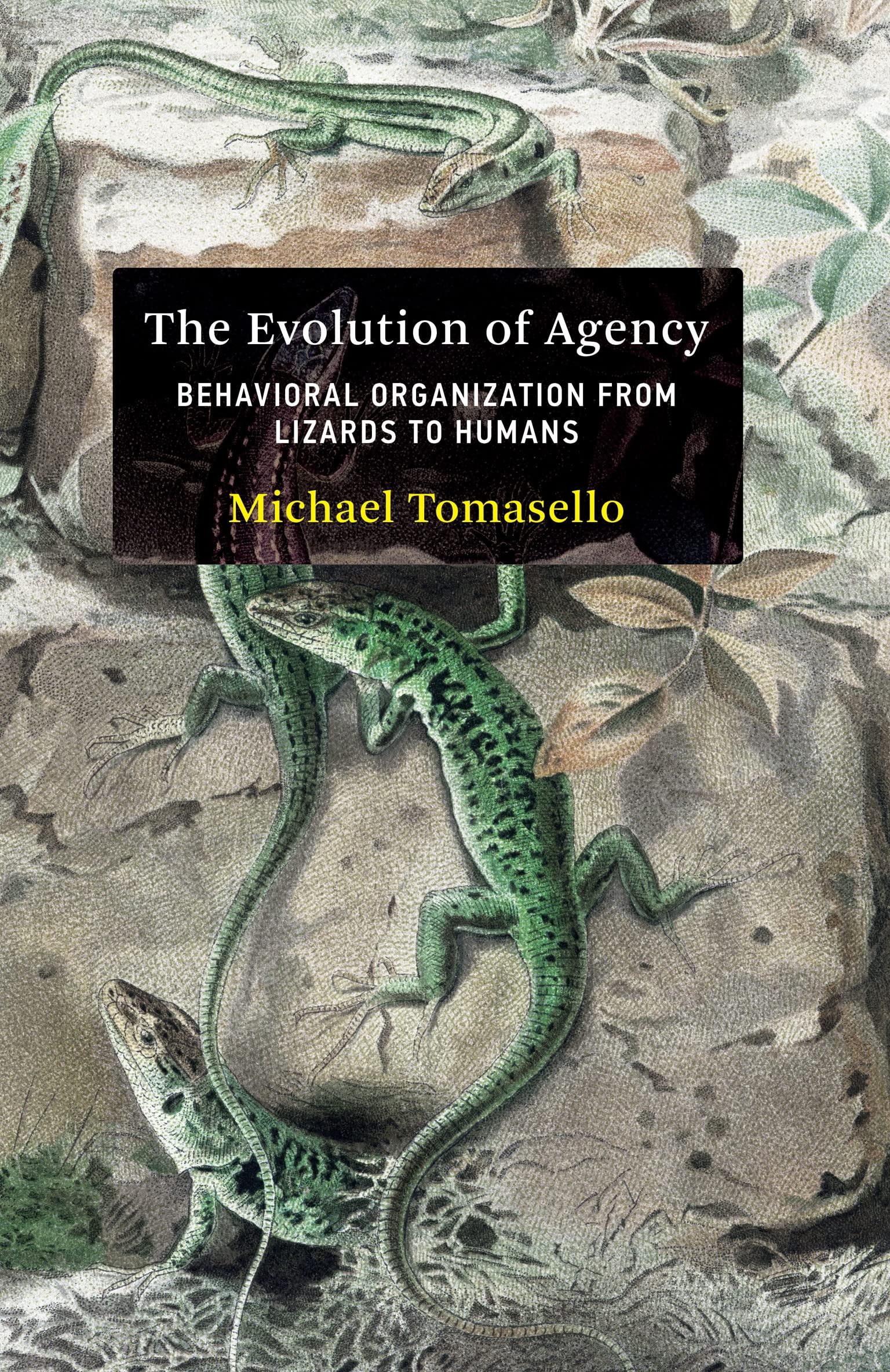 The Evolution of Agency: Behavioral Organization from Lizards to Humans - Orginal Pdf